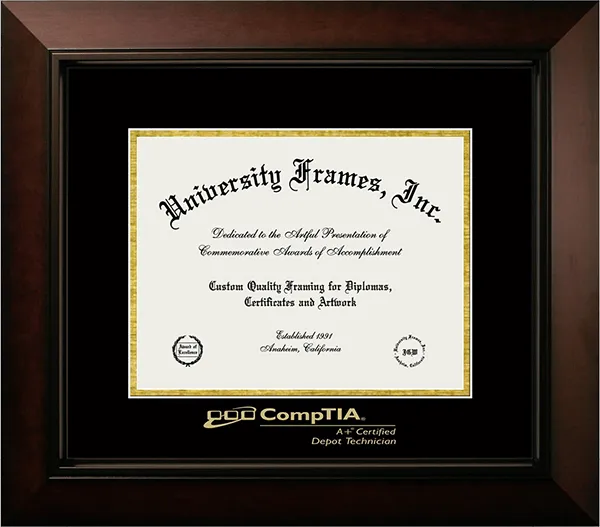 Professional License Certificate Frames